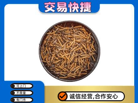 新津区回收散虫草